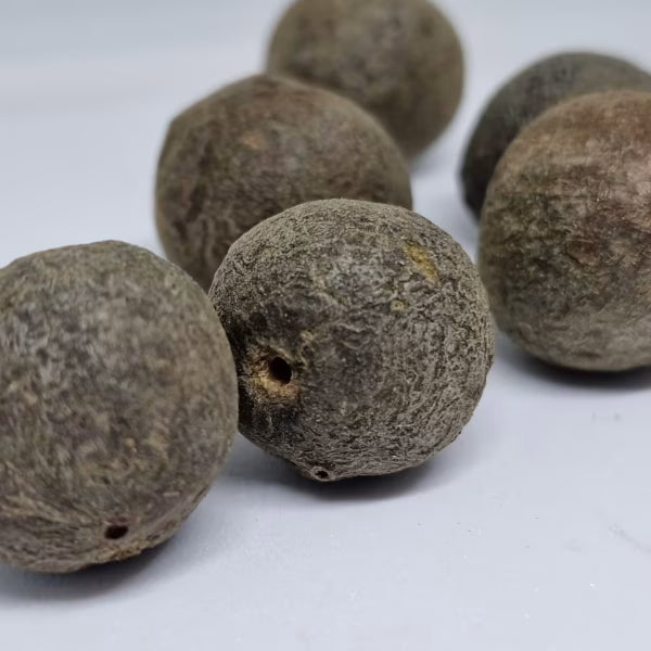 Rudraksha Fruits Nepal Natural Raw Rudraksha Fruit (Original Untreated)- Natural Brown Rudraksh (Big Size) Pack of 5 Rudraksha