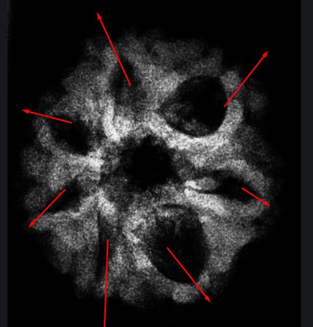 7 Mukhi Indonesian Rudraksha 17mm+ – Lab Certified Full Compartment Bead with X-Ray Certificate | Rudraksha-Store