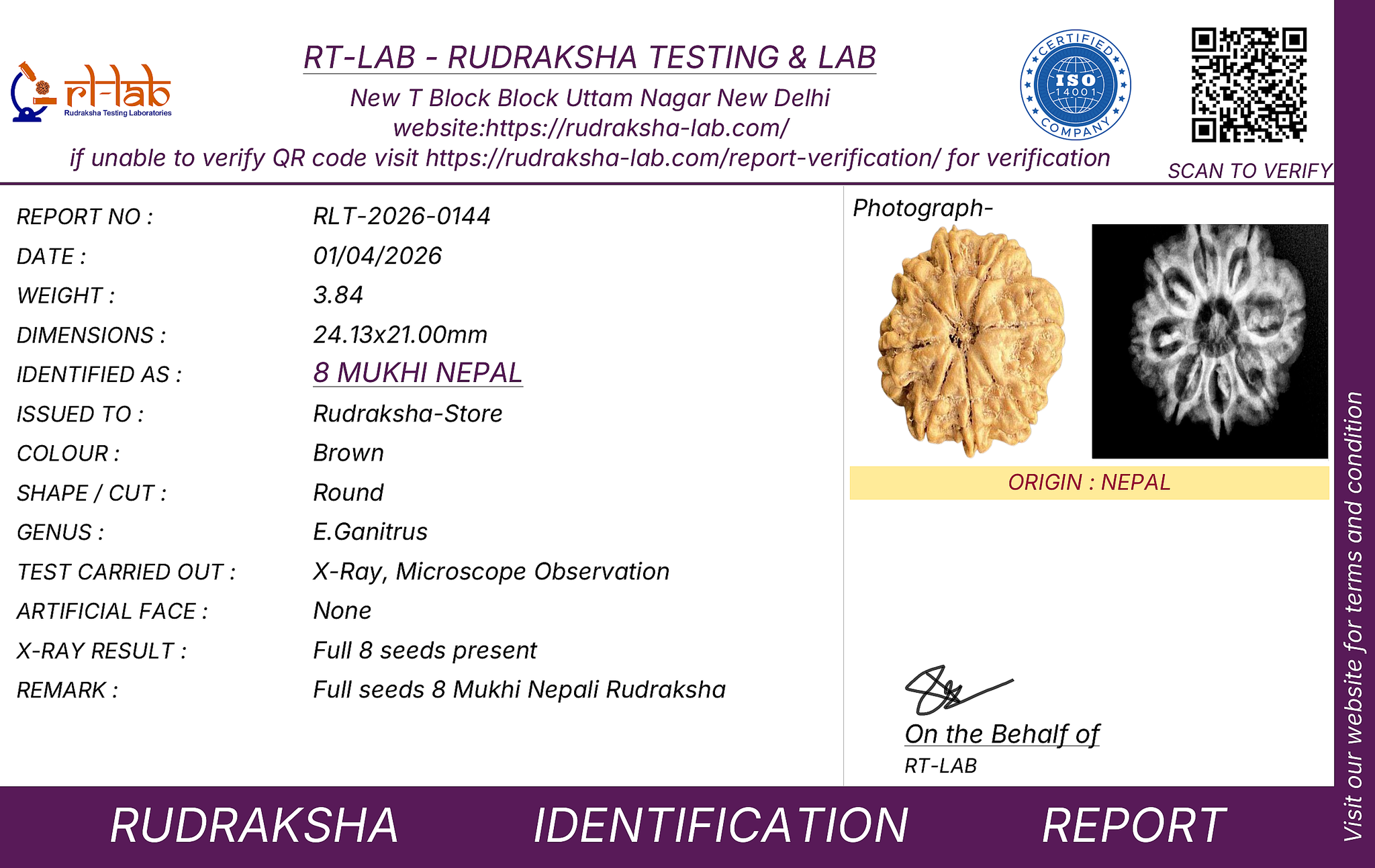 Original 8 Mukhi Nepal Rudraksha Full Seed - X-Ray Certified - Lord Ganesha Blessed