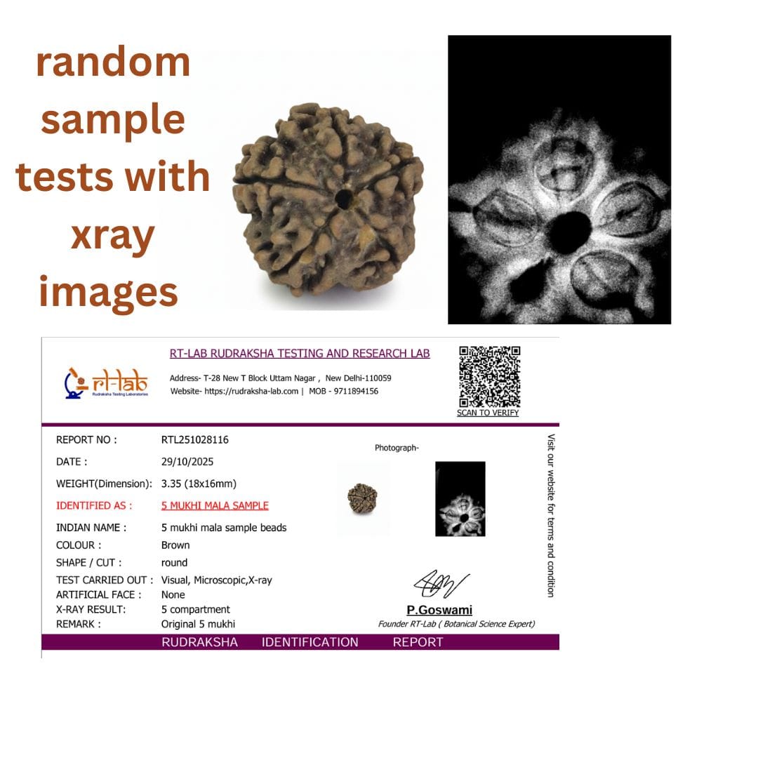 🕉️ 5 Mukhi Nepali Rudraksha Mala – 54 + 1 Beads (18–19 mm, Lab Certified & X-Ray Verified)