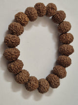 Indonesian 7 Mukhi Rudraksha Wealth Bracelet | 11–14mm | X-Ray Sample Certified