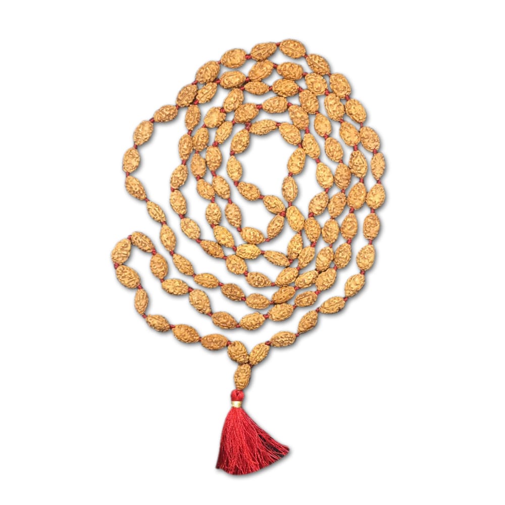 Mull Reksha 2 Mukhi Indonesian Rudraksha Mala 108 Beads (7mm-9mm) – Rudraksha-Store