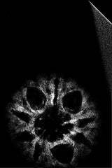 9 Mukhi Indonesian Rudraksha (Big Size with X-Ray) 17mm+ – Divine Energy of Goddess Durga for Power, Protection & Fearlessness