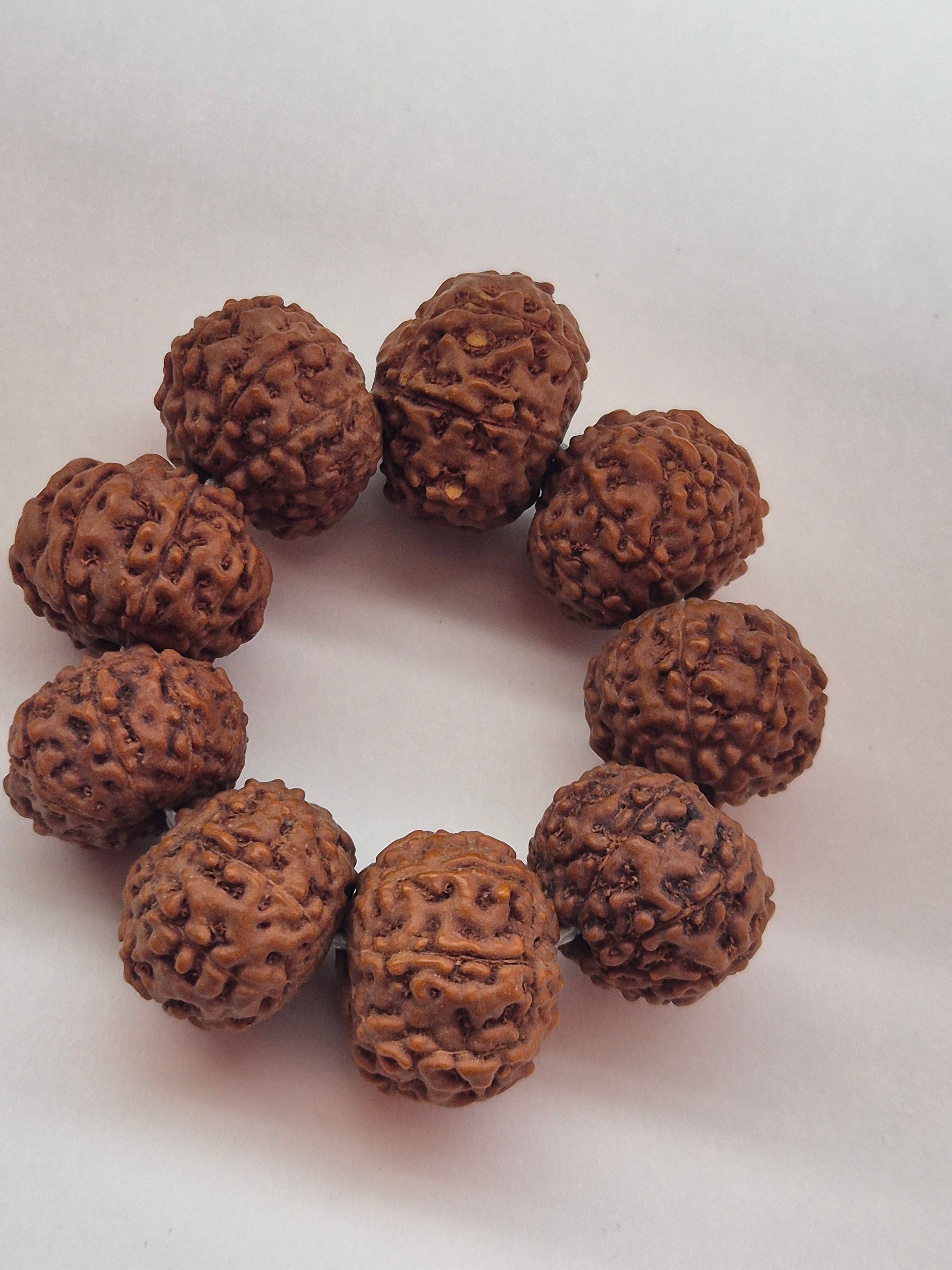 7 & 8 Mukhi Rudraksha Combo (11–14mm) – 9 Beads for Business Growth, Wealth & Success