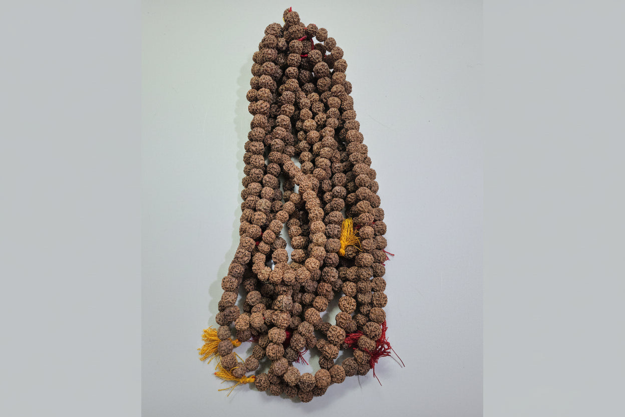5 Mukhi Rudraksha Mala 20–22mm (54+1 / 108+1 Beads) | Wholesale Rudraksha Mala
