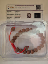 5 Mukhi Rudraksha Bracelet - Calmness & Healing Stones - Authentic Panch Mukhi Beads Jewelry for Mindfulness