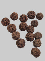 Natural 5 Mukhi Rudraksha Wholesale Lot – Nepal | 20–21mm