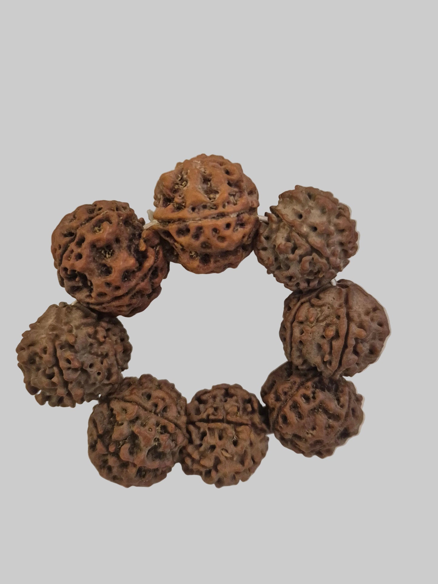 Natural 5 Mukhi Nepal Rudraksha Guru Bracelet | Authentic & X-Ray Certified