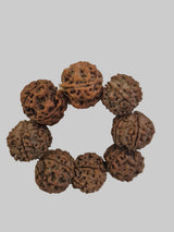 Natural 5 Mukhi Nepal Rudraksha Guru Bracelet | Authentic & X-Ray Certified