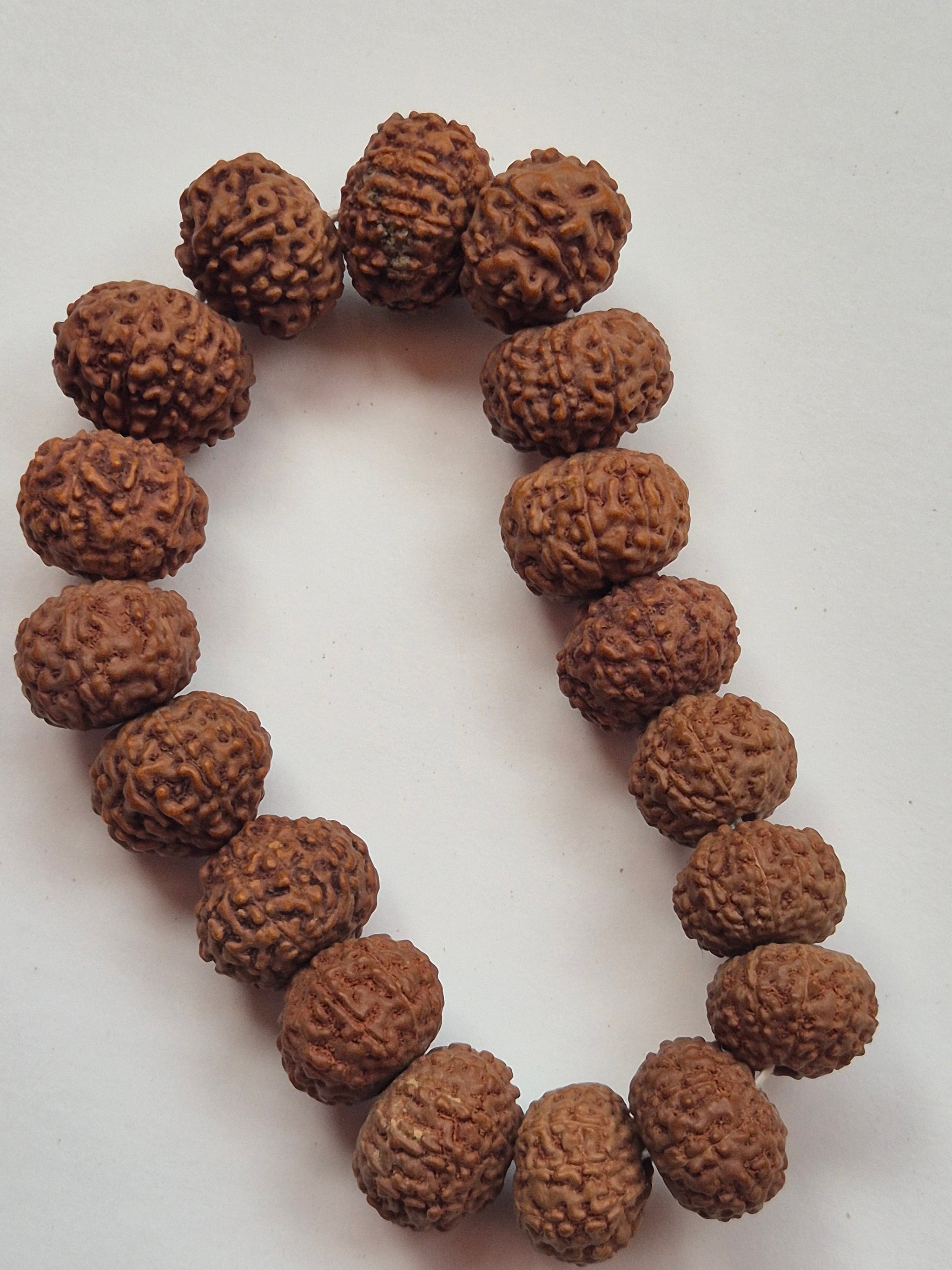 9–10 Mukhi Rudraksha Protection Bracelet | Shields from Negative Energy | 11–15mm | X-ray Certified sample