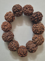 Natural 5 Mukhi Nepal Rudraksha Guru Bracelet | Authentic & X-Ray Certified