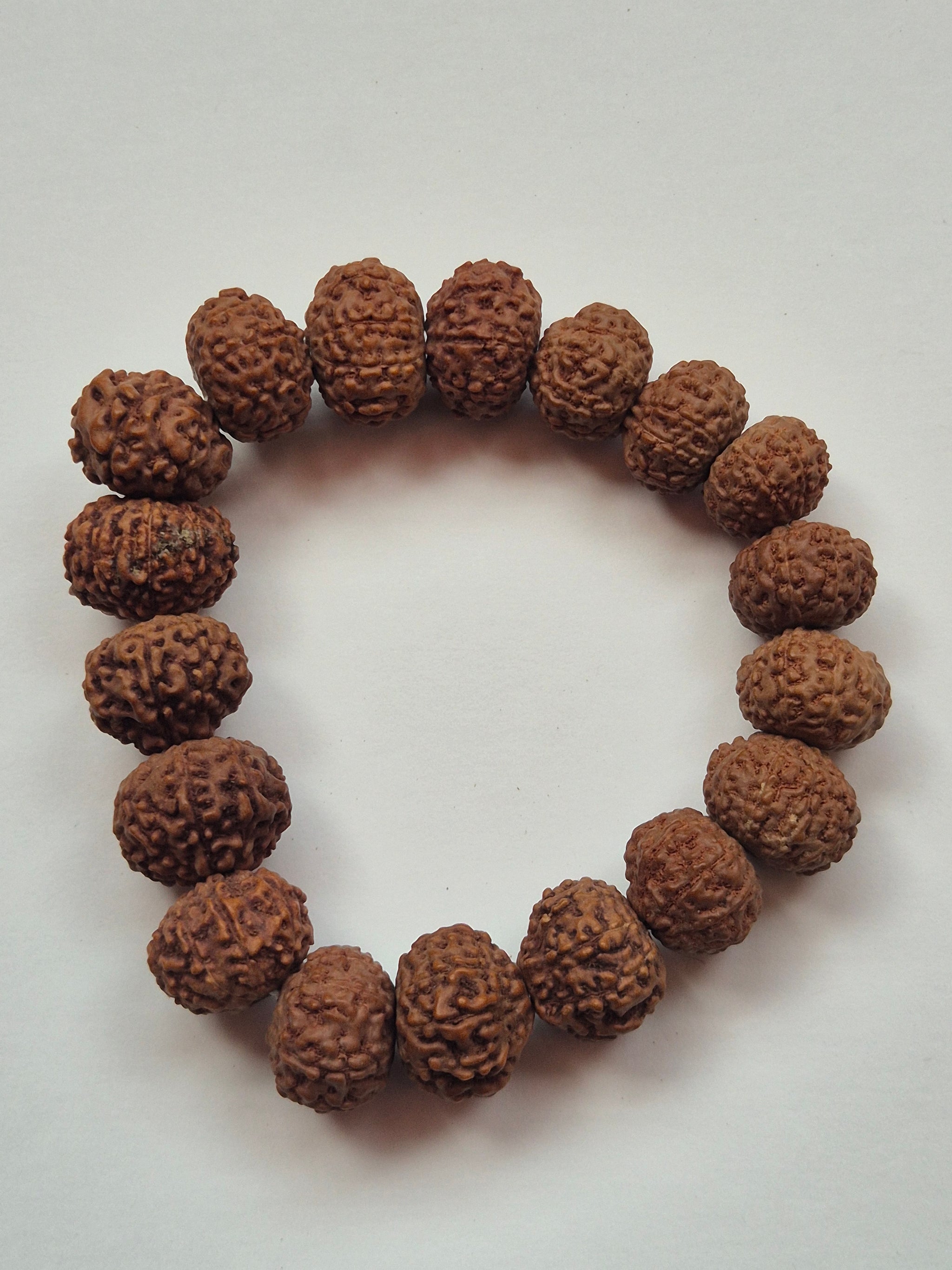 9–10 Mukhi Rudraksha Protection Bracelet | Shields from Negative Energy | 11–15mm | X-ray Certified sample
