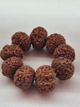 7 & 8 Mukhi Rudraksha Combo (11–14mm) – 9 Beads for Business Growth, Wealth & Success