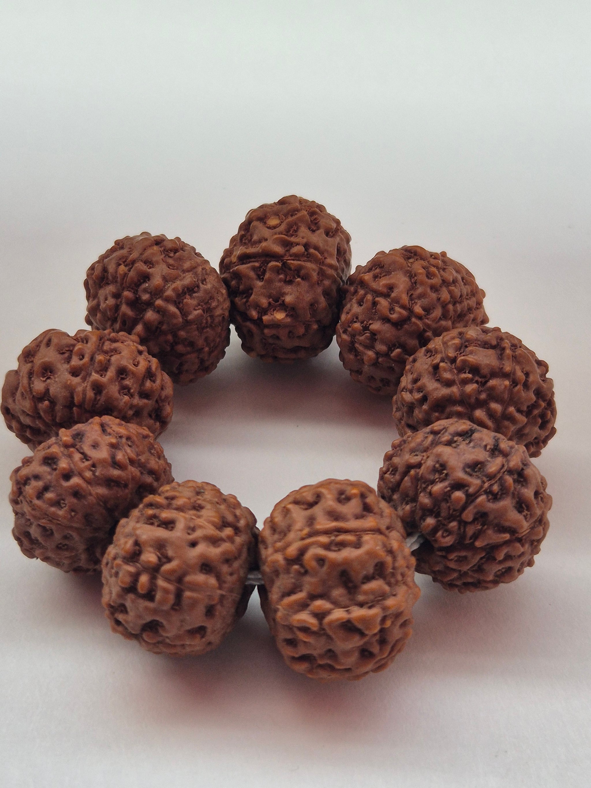 7 & 8 Mukhi Rudraksha Combo (11–14mm) – 9 Beads for Business Growth, Wealth & Success