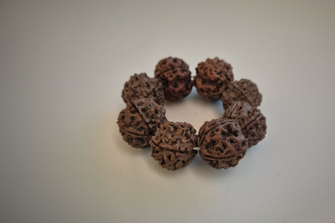 Natural 5 Mukhi Nepal Rudraksha Guru Bracelet | Authentic & X-Ray Certified