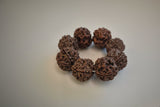 Natural 5 Mukhi Nepal Rudraksha Guru Bracelet | Authentic & X-Ray Certified
