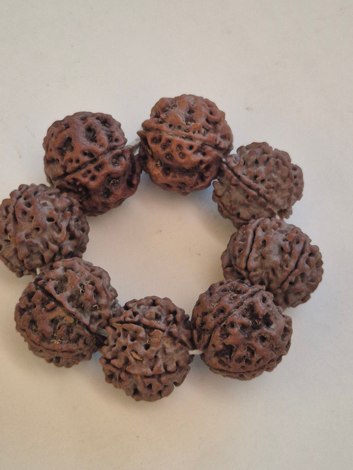 Natural 5 Mukhi Nepal Rudraksha Guru Bracelet | Authentic & X-Ray Certified