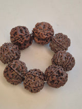 Natural 5 Mukhi Nepal Rudraksha Guru Bracelet | Authentic & X-Ray Certified