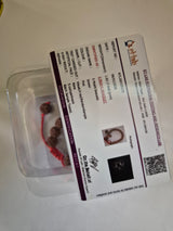 5 Mukhi Rudraksha Bracelet - Calmness & Healing Stones - Authentic Panch Mukhi Beads Jewelry for Mindfulness