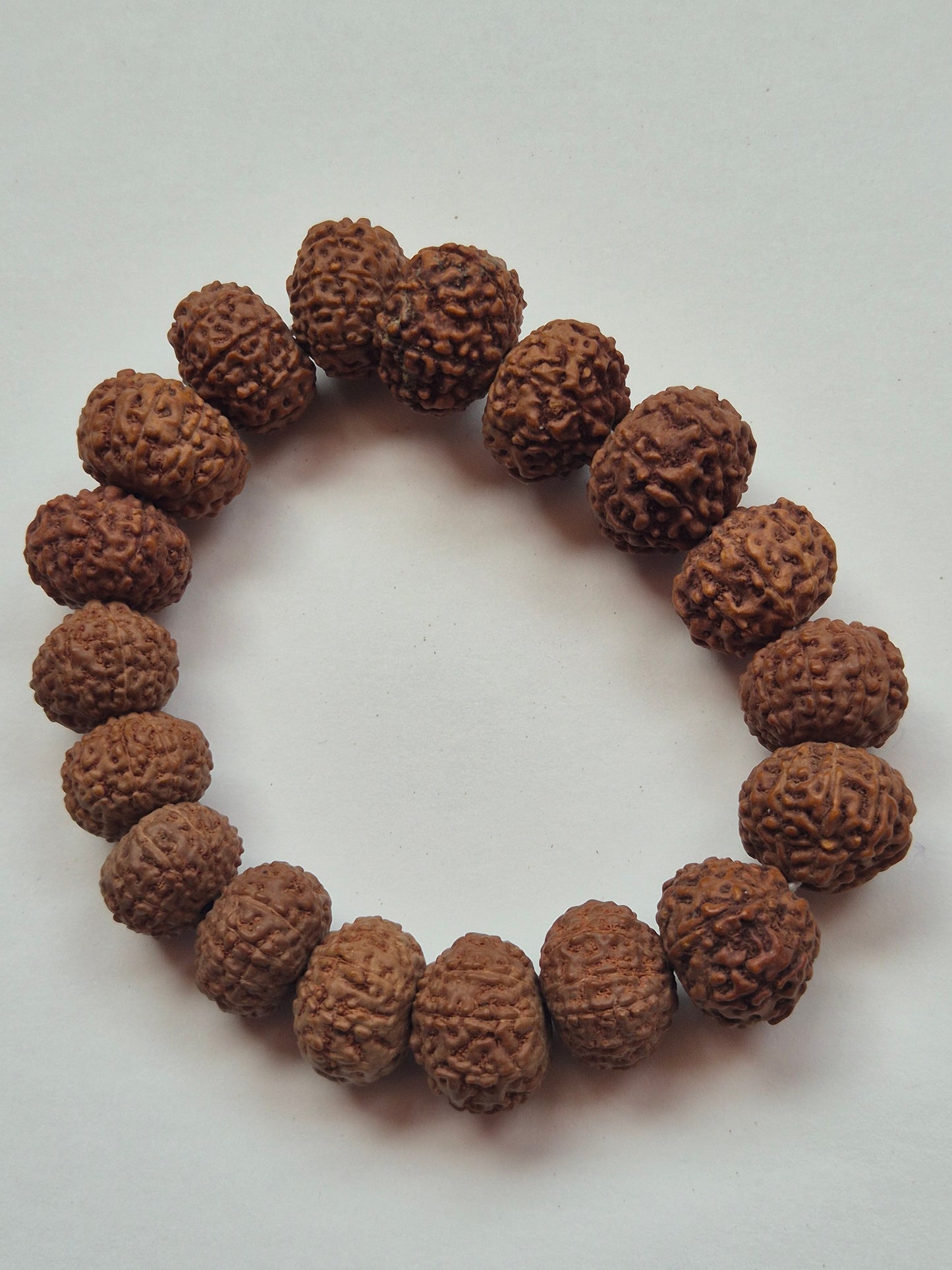 9–10 Mukhi Rudraksha Protection Bracelet | Shields from Negative Energy | 11–15mm | X-ray Certified sample