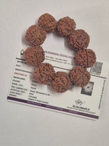 Natural 5 Mukhi Nepal Rudraksha Guru Bracelet | Authentic & X-Ray Certified