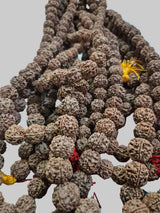 5 Mukhi Rudraksha Mala 20–22mm (54+1 / 108+1 Beads) | Wholesale Rudraksha Mala