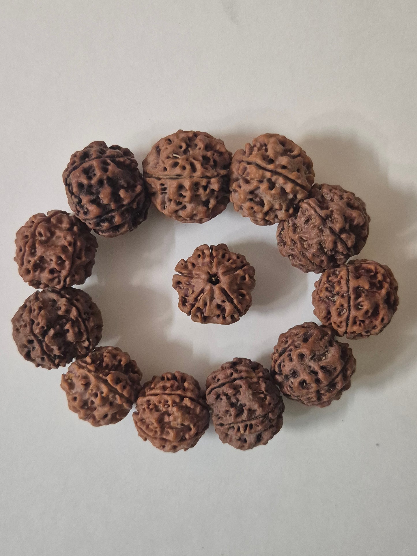 Natural 5 Mukhi Nepal Rudraksha Guru Bracelet | Authentic & X-Ray Certified