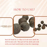 Rudraksha Fruits Nepal Natural Raw Rudraksha Fruit (Original Untreated)- Natural Brown Rudraksh (Big Size) Pack of 5 Rudraksha