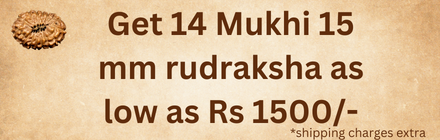 Get 14 mukhi rudraksha 15 mm as low as Rs 1500_final