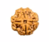 4 mukhi nepal rudraksha