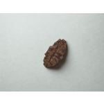 1 Mukhi Small Rudraksha with X-Ray Certificate - Image 3