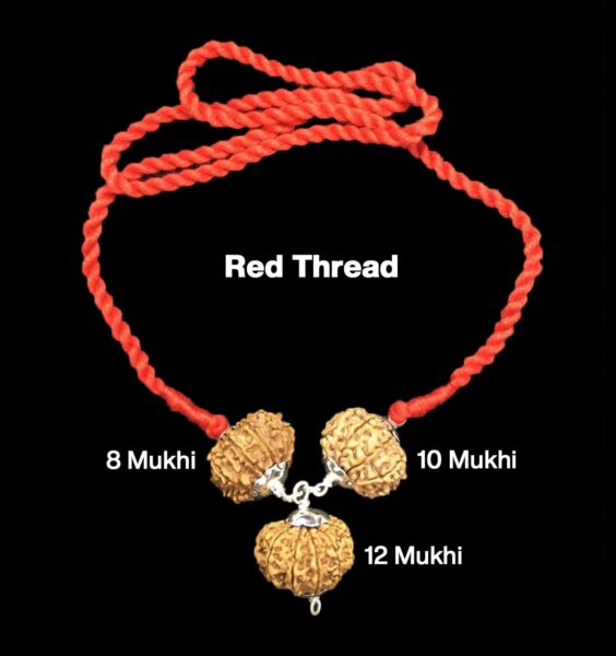 Rudraksha Combination for Protection 8,10,12 Mukhi Nepal in Silver Pendant