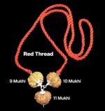 Rudraksha Combination for Total Protection 9,10,11 Mukhi Nepal in Silver Pendant