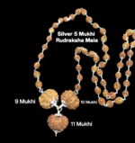 Rudraksha Combination for Total Protection 9,10,11 Mukhi Nepal in Silver Mala