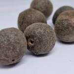 Rudraksha Fruits Nepal Natural Raw Rudraksha Fruit (Original Untreated)- Natural Brown Rudraksh (Big Size) Pack of 5 Rudraksha - Image 5