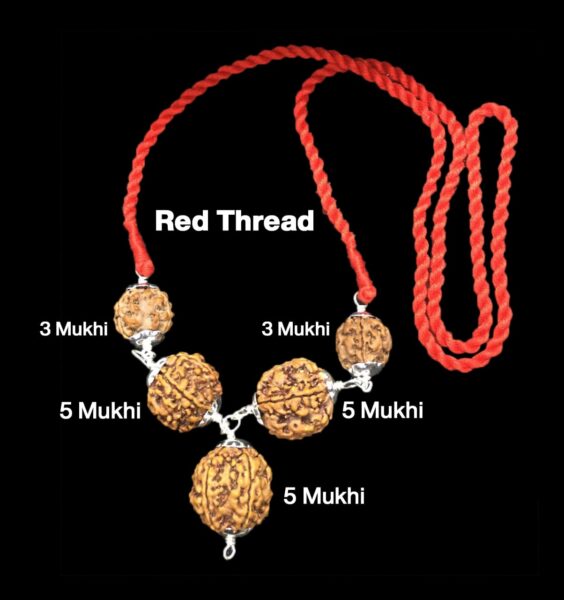 Rudraksha Combination for Health Power 3,3,5,5,5 Mukhi Nepal in Silver Pendant
