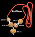 Rudraksha Combination for Navagraha Shanti 3,5,10,11,12 Mukhi Nepal in Silver Pendant