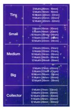 Rudraksha Combination for Navagraha Shanti 3,5,10,11,12 Mukhi Nepal in Rudraksha Mala - Image 2