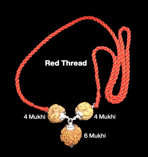 Rudraksha Combination for Students 4,4,6 Mukhi Nepal in Silver Pendant
