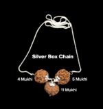 Rudraksha Combination for Hanuman Power 4,5,11 Mukhi Nepal in Silver Chain