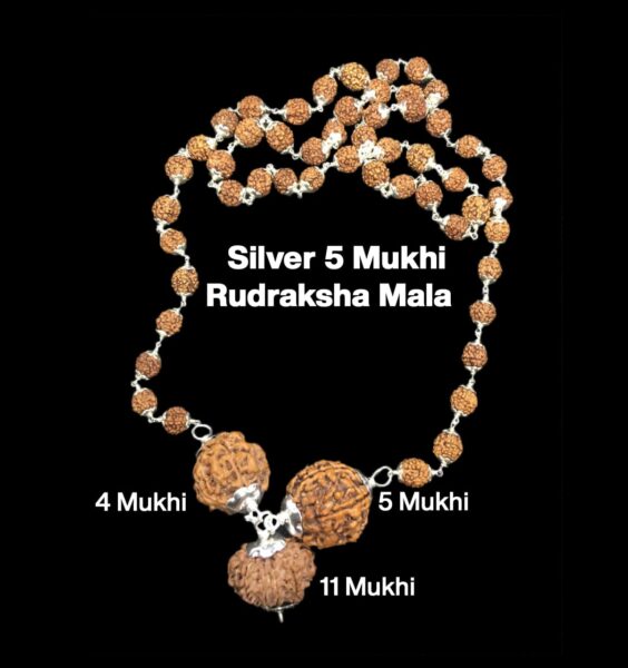 Rudraksha Combination for Wisdom 4,5,11 Mukhi Nepal in Silver Mala