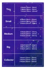 Rudraksha Combination for Wisdom 4,5,11 Mukhi Nepal in Silver Bracelet - Image 2