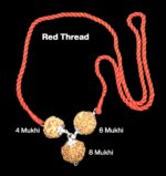 Rudraksha Combination for Advocates 4,6,8 Mukhi Nepal in Silver Pendant