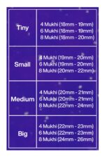 Rudraksha Combination for Creativity 4,6,8 Mukhi Nepal in Silver Bracelet - Image 2