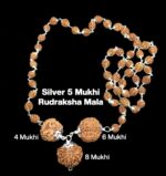 Rudraksha Combination for Advocates 4,6,8 Mukhi Nepal in Silver Mala