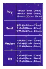 Rudraksha Combination for Doctors 4,9,12 Mukhi Nepal in Rudraksha Mala - Image 2