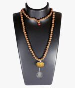 Mahamritunjaya Kavach 14 Mukhi Rudraksha With Silver Yantra Attached In Rudraksha Mala - Image 2