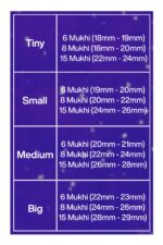 Rudraksha Combination for Business 6,8,15 Mukhi Nepal in Rudraksha Mala - Image 2