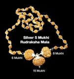 Rudraksha Combination for Business 6,8,15 Mukhi Nepal in Silver Mala