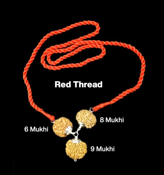 Rudraksha Combination for Females in Business 6,8,9 Mukhi Nepal in Silver Pendant